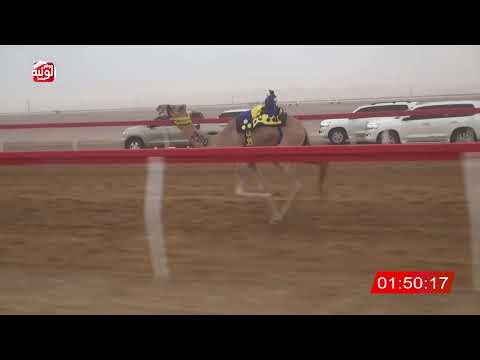  ش 8 (الشارد) لـ سعيد راشد بن ناصر الشامسي 2:50  ، شارة الصندوق 2026/08/16 فطامين الروضة