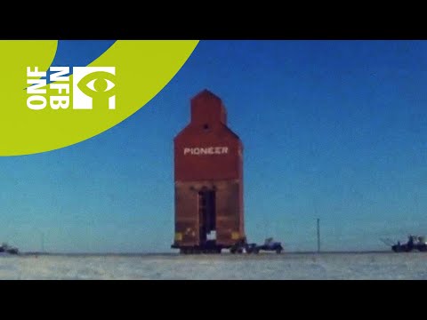 Canada Vignettes: The Move