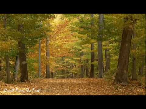 Tonight You're Mine  - Planet 3 feat Jay Graydon