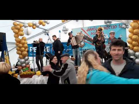 ANSAMBEL TIMIJA ZAJCA - HARMONIKA TIMI ZAJC - PLAZNIK STIMA