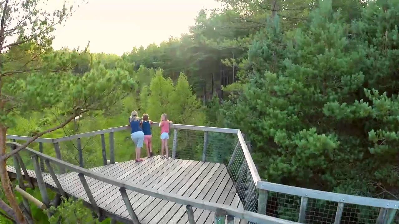 Moors Valley commercial