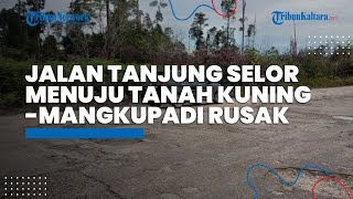 Jalan Tanjung Selor Menuju Tanah Kuning-Mangkupadi Rusak, Ini Jawaban Bupati Bulungan Syarwani