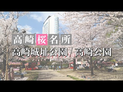 【高崎桜名所】高崎城址公園・高崎公園