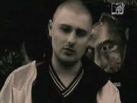 600v - Wkurwione Bity