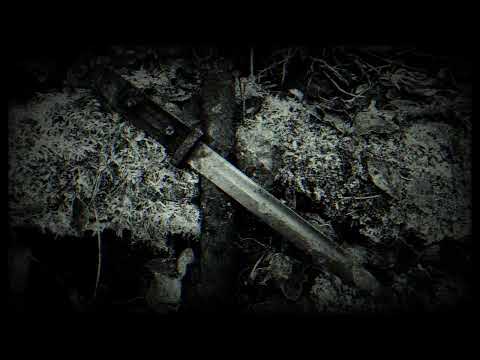 Gassturm & Rabennacht - Stahl Blitzt Kalt (Absurd Cover) [Slowed N Reverb]