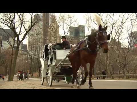 Save NYC Horse Carriages Film - Narrated by Liam Neeson