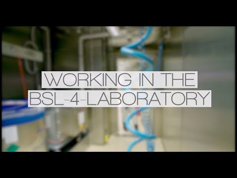Working in the BSL-4 laboratory