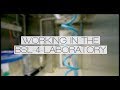 Working In The BSL 4 Laboratory