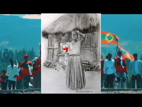 Darajjee Shuumii_Qeerransi utaale gamaa_Deebisi deebii sabaa