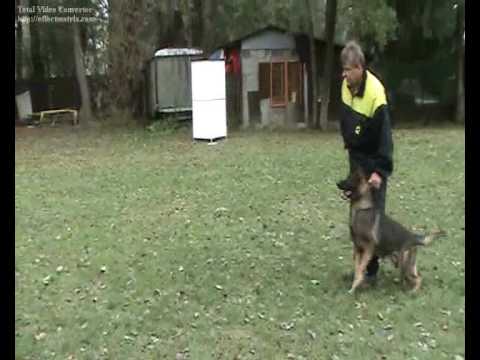 Jasper Suché Lazce - bitework