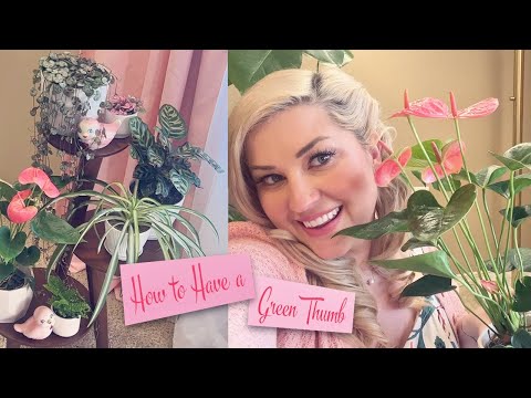 HOUSEPLANTS 101: HOW TO HAVE A GREEN THUMB