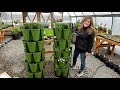 Planting Up Two GreenStalk Vertical Gardens! 🌿🌿🌿 // Garden Answer