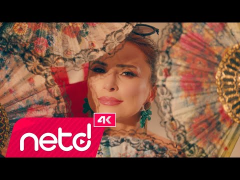 Ayşen Birgör - Avare