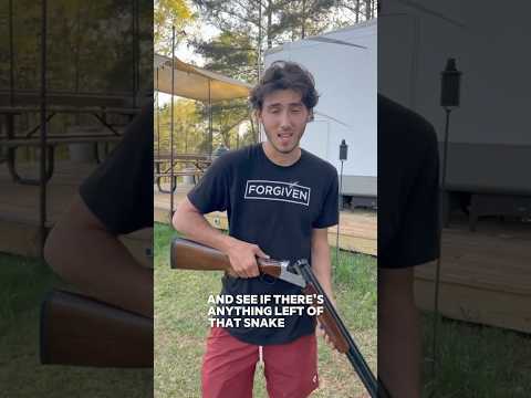 12 Gauge vs Rattle Snake (OBLITERATED)