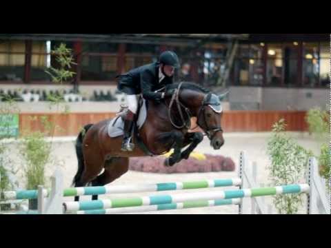 Numero Uno Pref. - LIBERO H x LORD CALANDO x AHORN HANN - De Wiemselbach - DE - 2012