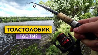 Ловля рыбы в пензенской области
