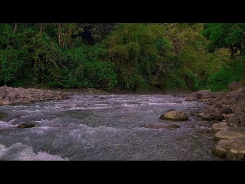 4K-HDR | Babbling Brook in Forest for Deep Sleep and Serenity | Relaxing Nature Ambience for Rest