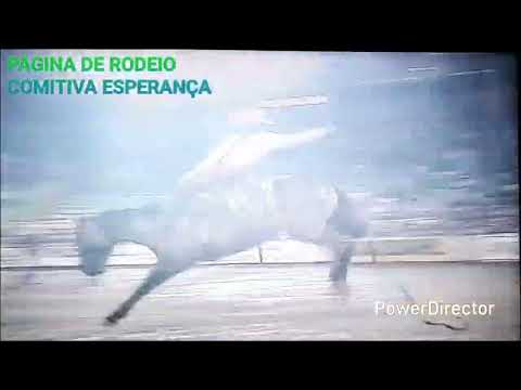 SANSÃO SILVA MENEZES V& CAVALO  CAIPIRA CIA MARCA ESTRELA CAJAMAR 95 IMAGENS TV RODEIO 