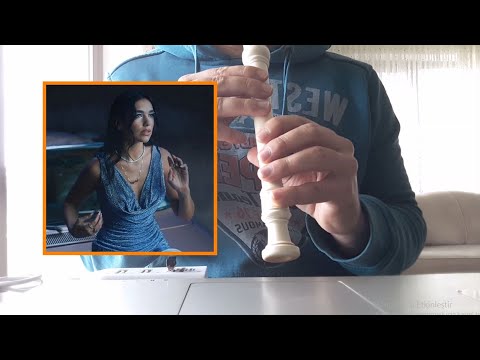 Dua Lipa - Levitating Recorder Block Flute