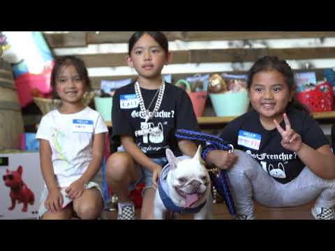 gotfrenchie 10 year highlight