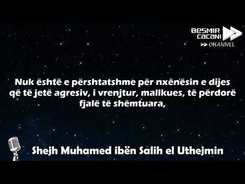 460. Rëndësia e moralit - Shejh Uthejmin