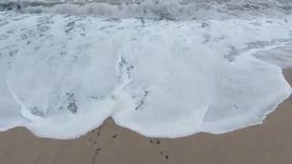 Poplar Beach (USA, California) - 07/02/2016