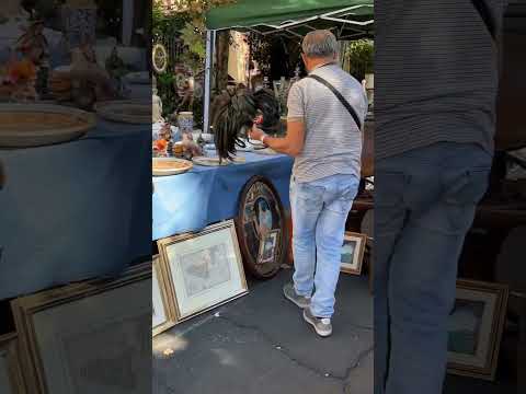 A glimpse of Sicily #catania #italytravel #sicily #travel #travelvlog #travelshorts #travelguide