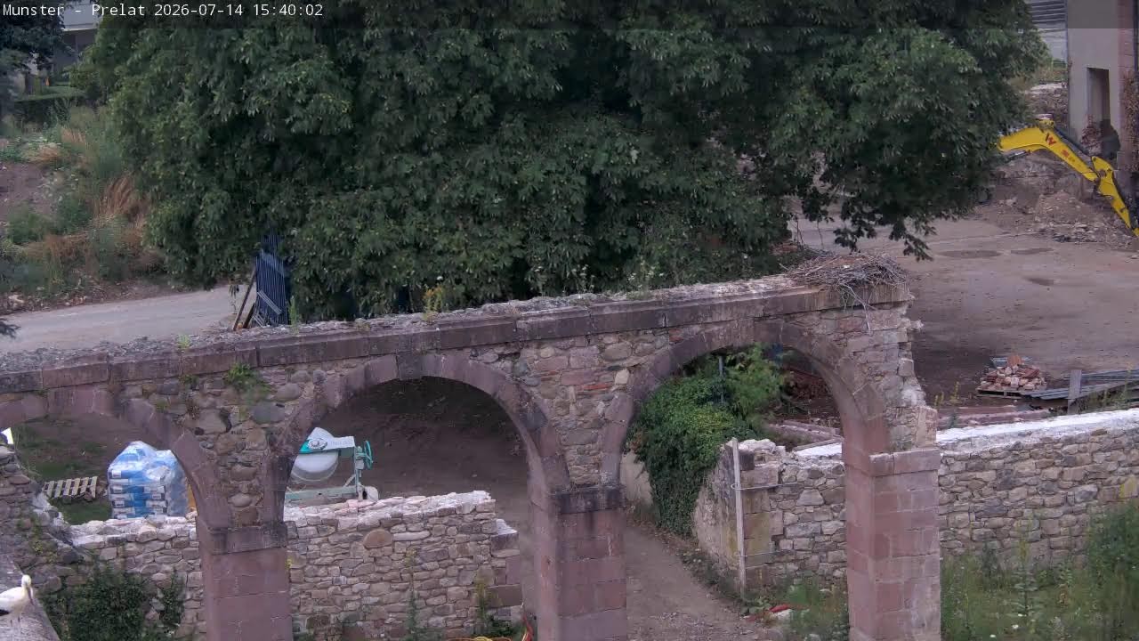 Live webcam view of Arco del Prélat en Munster