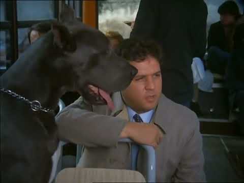 "La casa stregata" Le fantasmagoriche avventure del cane Gaetano e del rag. Allegri Renato Pozzetto