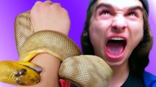 DISASTER!! SNAKE BITE!! FEEDING MY PET REPTILES!! | BRIAN BARCZYK by Brian Barczyk