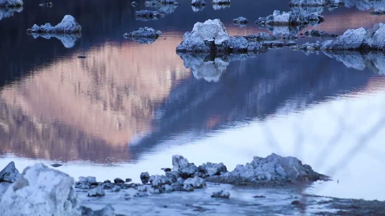 NEWSREELS 2/2/2025 (Pyramid)