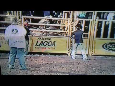 Amauri Laurindo X Passarela do Zé da platina