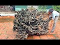 Watching A Carpenter Turn A Discarded Tree Stump Into Something Amazing