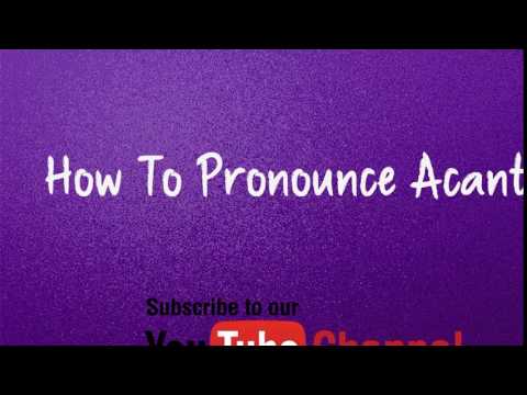 How to pronounce Acanthocephala