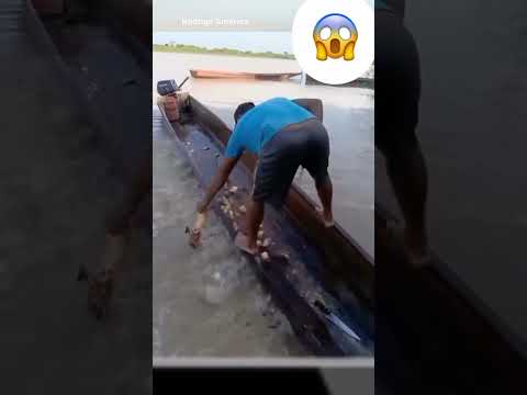 río Apure mi san Fernando 💪