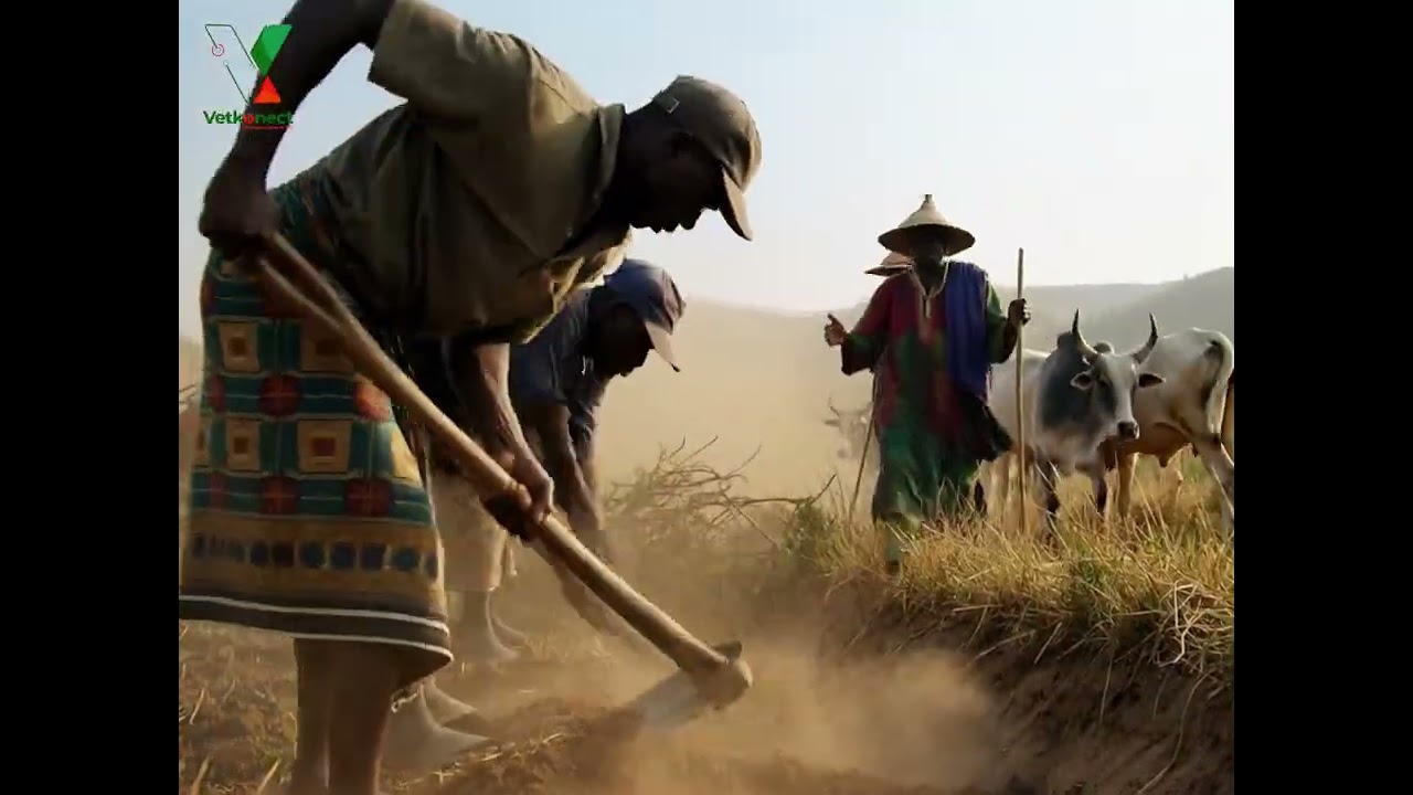 From Conflict to Coexistence: The Future of Benue State