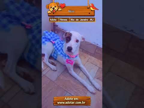 Vídeo de Nina