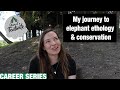 My Journey To Elephant Ethology And A Conservation Career How I Got My Animal Job