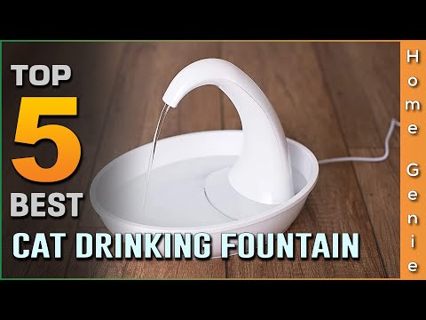 Top 5 Best Cat Drinking Fountains Review in 2022 - Suitable for Outdoor & Indoor Use