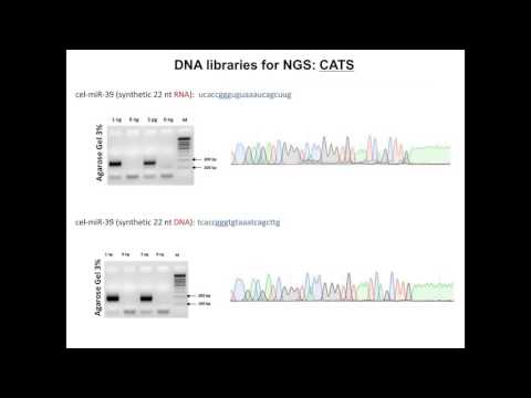 Andrey Turchinovich, PhD - CATS - a novel library preparation method for ultrasensitive..
