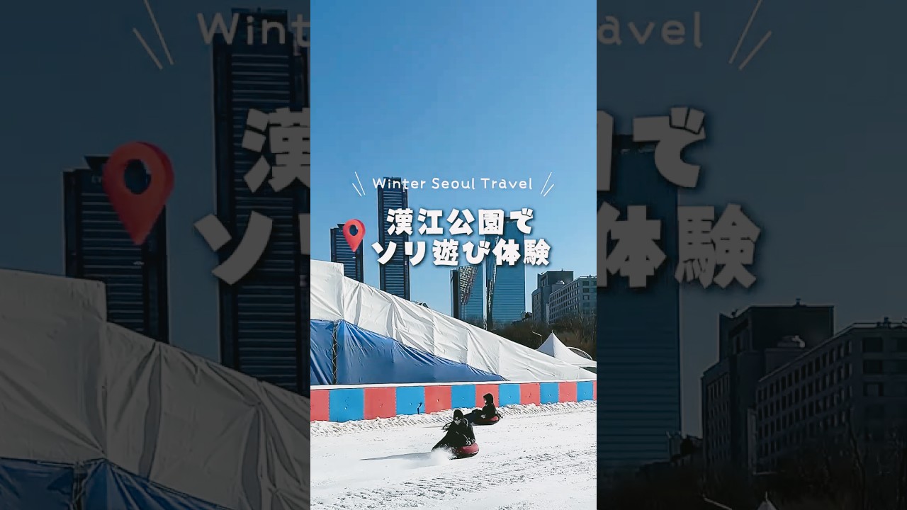 冬のソウル旅行！漢江公園でソリ遊び☃️❄️