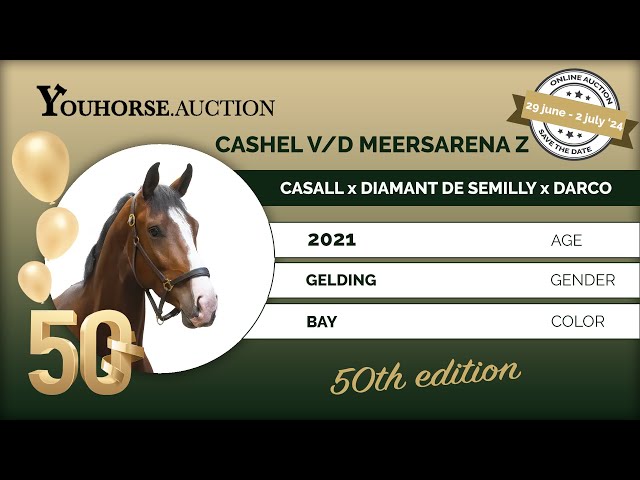 Cashel v/d Meersarena