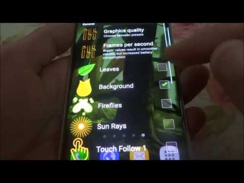 Mossy Forest Live Wallpaper Video