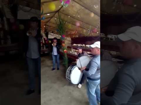 Famfară Islaz la nunta lui Dani