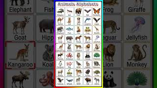 Animals Alphabets #animals #alphabet #education #english #learnenglish