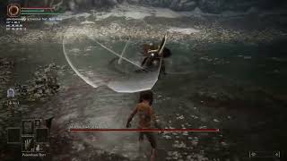 [閒聊]玩家讓女武神祇會水鳥亂舞 不斷C8763幫你