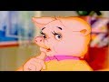 THE PIG Great Book Of Nature Full Episode 34 English