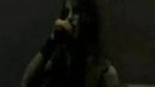 Dimmu Borgir - The ultimate tribute