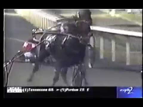 1998 Colonial Downs GALLERIA Breeders Crown 3YO Filly Pace George Brennan