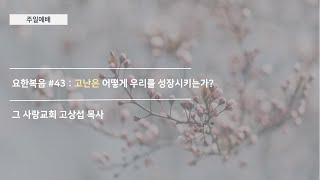 [주일예배] 요한복음 #43 : 고난은 어떻게 우리를 성장시키는가?